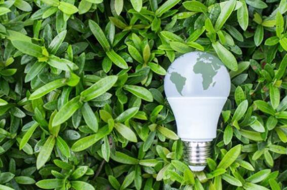 led bulb3