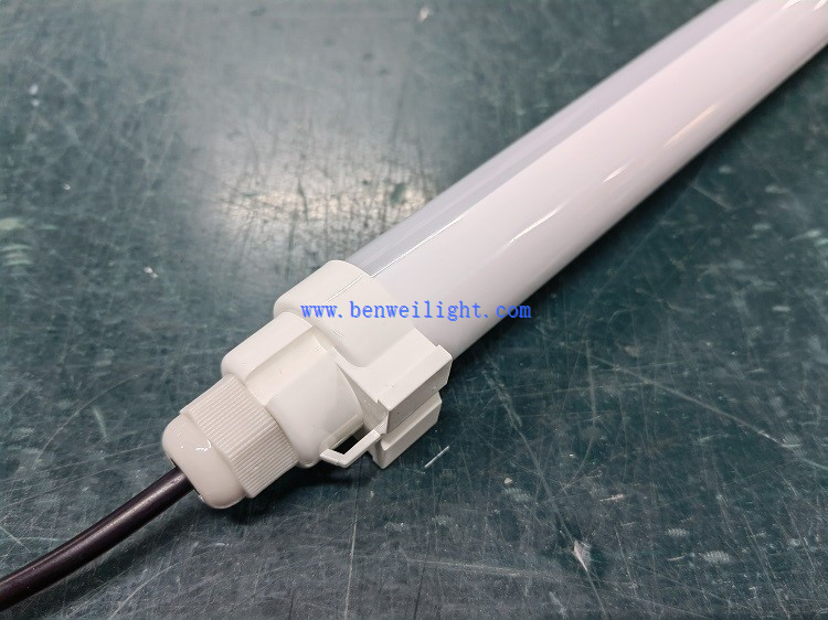 avocado plant light avocado plant light