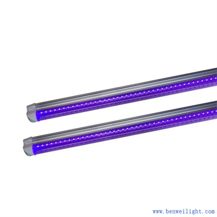 UV Led T8 600মিমি
