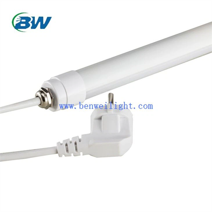 পাড়া মুরগি জন্য LED লাইট
