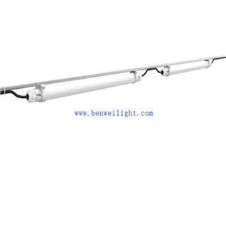 শূকর কল্যাণ এবং কর্মক্ষমতা উপর আলো প্রযুক্তির প্রভাব