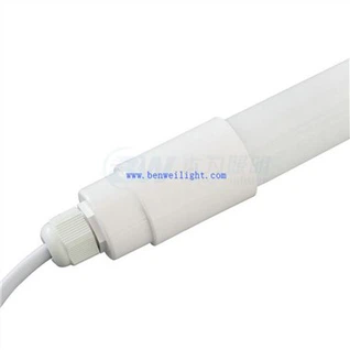 দুধ খাওয়ানো গাভীর জন্য আলো আরো দুধ