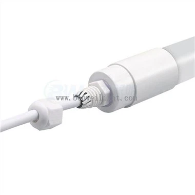 লেয়ার চিকেন হাউসের পোল্ট্রি লাইট কন্ট্রোল