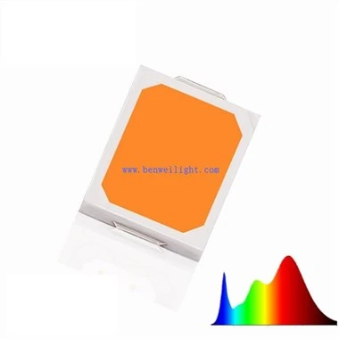 Smd LED লাইট কি?