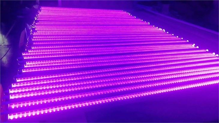 black fluorescent tubes