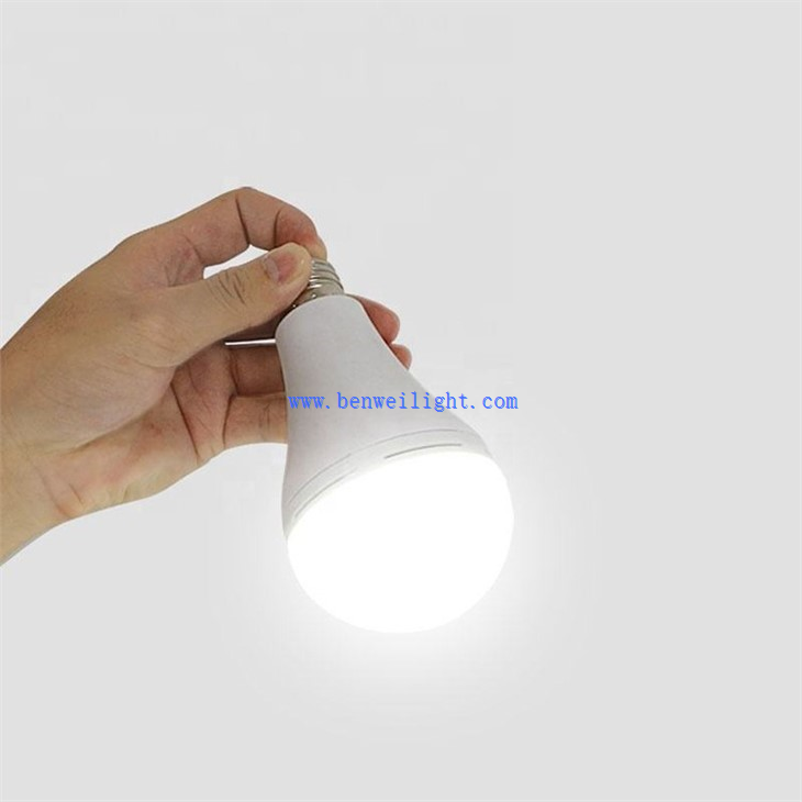 boundery led light bulbs