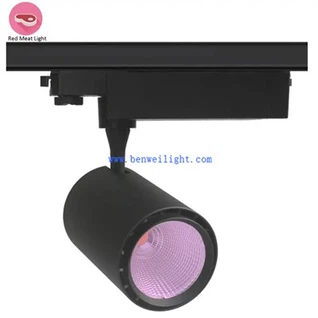 তাজা মাংস ট্র্যাক লাইট