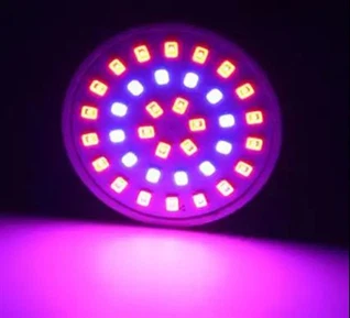 MR16 12V UV ব্ল্যাকলাইট বাল্ব