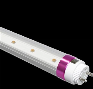 T8 UVC LED টিউব