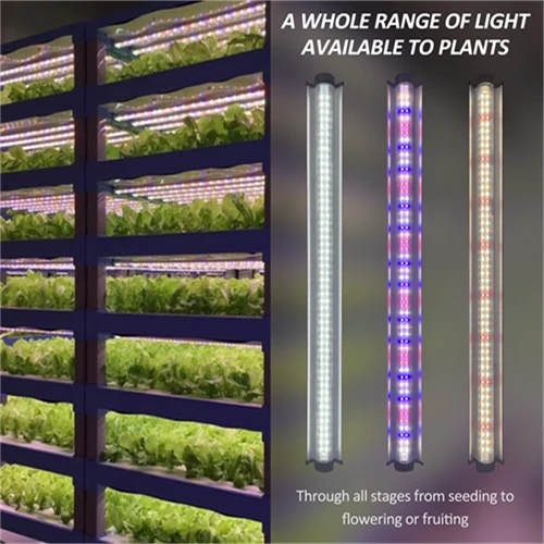 1000 Watt LED Full Spectrum Sunlike Growing Lamp For Indoor Plant With Daisy Chain Function 1000 Watt LED Full Spectrum Sunlike Growing Lamp For Indoor Plant With Daisy Chain Function