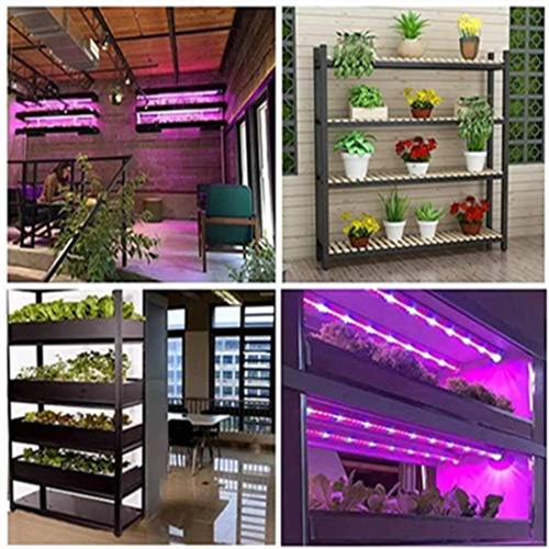 1000 Watt LED Full Spectrum Sunlike Growing Lamp For Indoor Plant With Daisy Chain Function 1000 Watt LED Full Spectrum Sunlike Growing Lamp For Indoor Plant With Daisy Chain Function