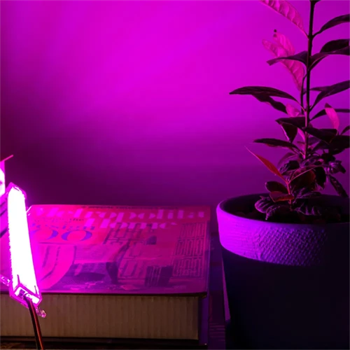 1000 Watt LED Full Spectrum Sunlike Growing Lamp For Indoor Plant With Daisy Chain Function 1000 Watt LED Full Spectrum Sunlike Growing Lamp For Indoor Plant With Daisy Chain Function