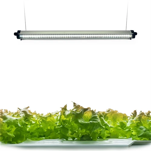 LED B, ব্লু, 120V, বাল্ব এর উপর LED গ্রো প্যানেল/বাতা অন্তর্ভুক্ত