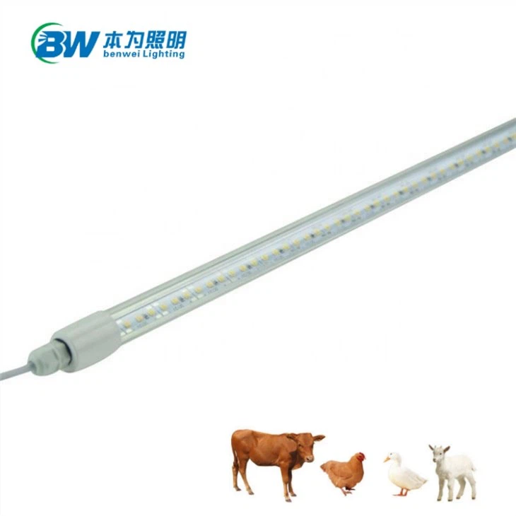 LED পোল্ট্রি টিউব লাইট জলরোধী Dimmable