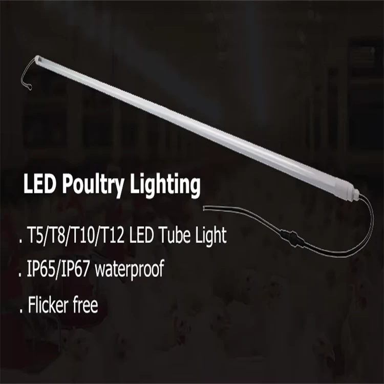 product-750-750 product-750-750