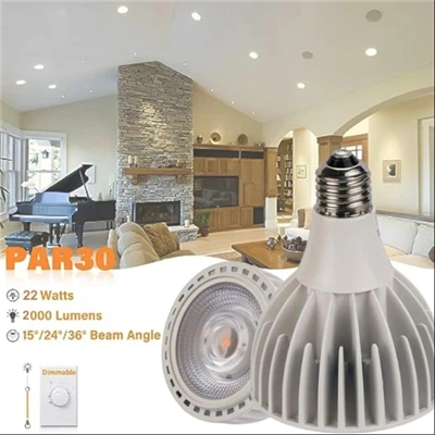 PAR30 স্পটলাইট LED বাল্ব 30 Watt COB (200 Watt Eqv.) 3000 Lumens ফ্লাড লাইট বাল্ব