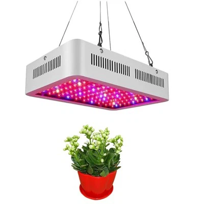 LED উদ্ভিদ ক্রমবর্ধমান আলো