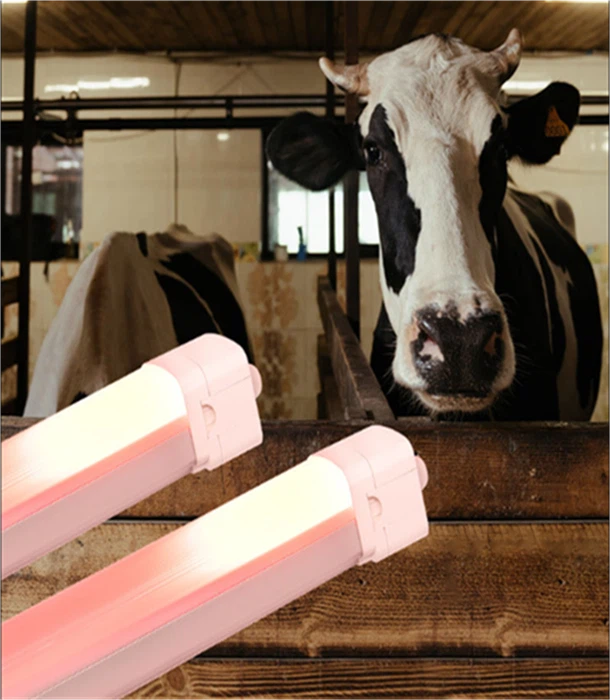 স্মার্ট আইপি66 এলইডি ফার্ম লাইট (দুগ্ধ/মুরগি)